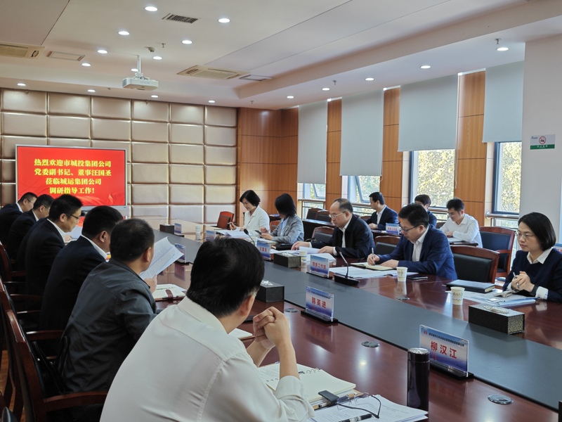 市城投集團(tuán)公司黨委副書(shū)記、董事汪國(guó)圣調(diào)研城...